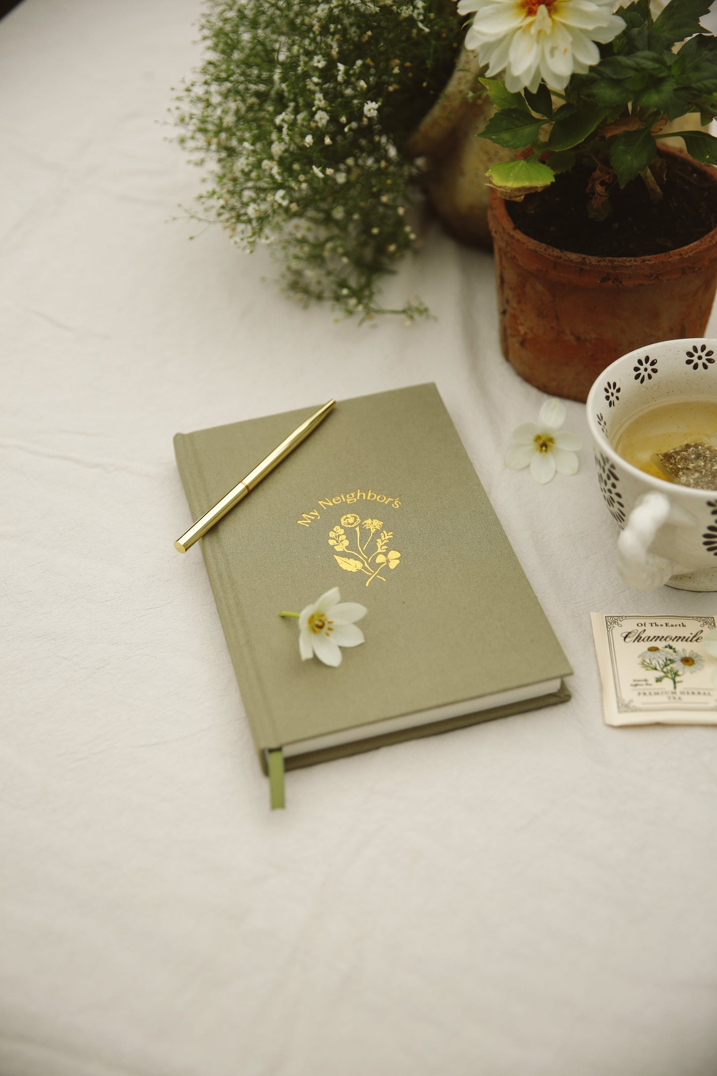 Journal - My Neighbor’s
