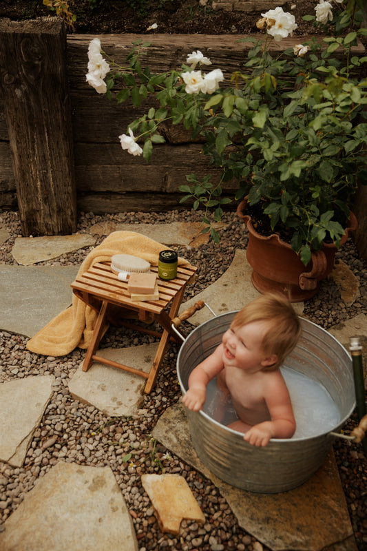 Bambino Bundle
