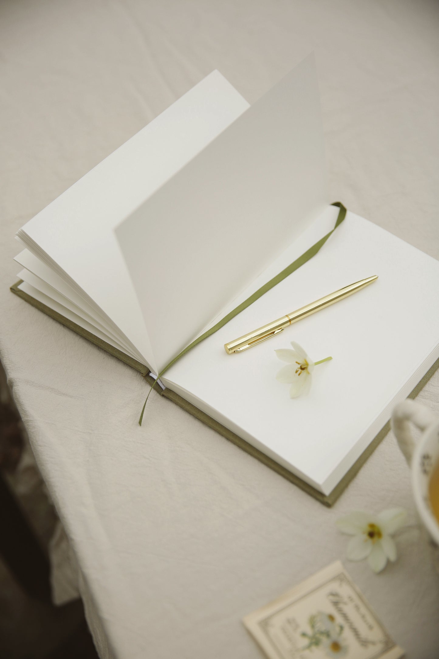 Journal - My Neighbor’s