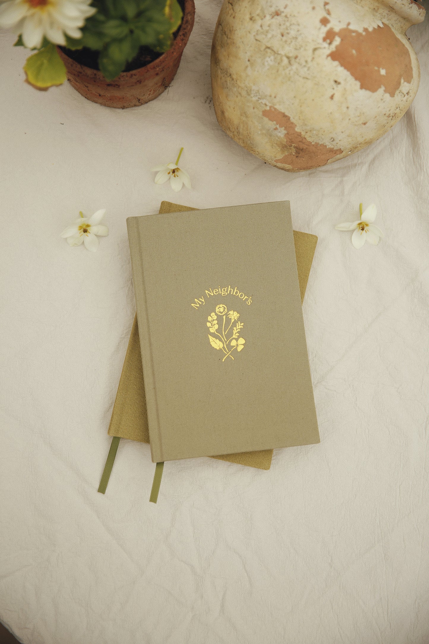 Journal - My Neighbor’s