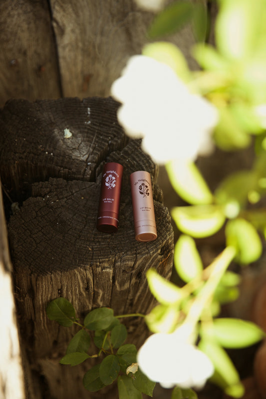 2 Pack Lip Balm Set