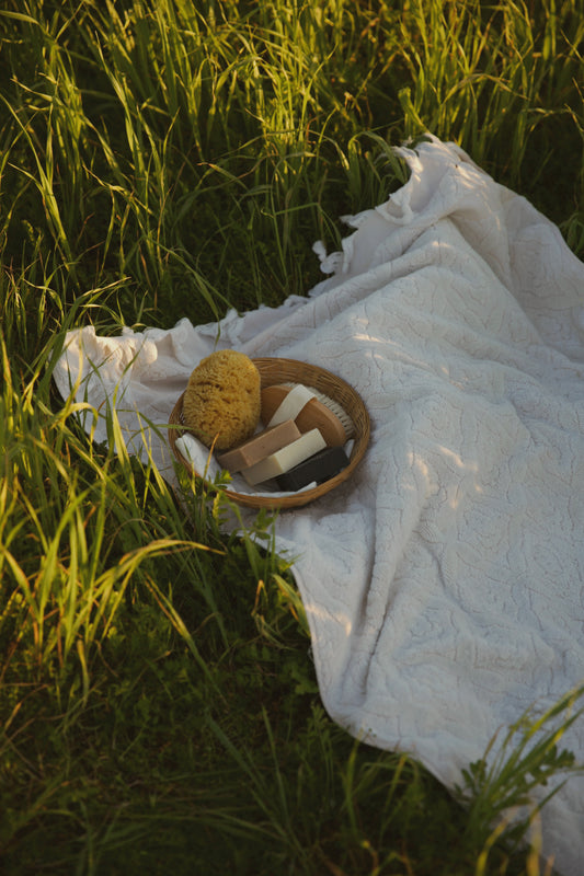Tallow Soap Bundle